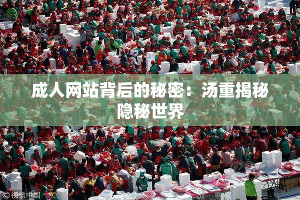 成人网站背后的秘密：汤重揭秘隐秘世界