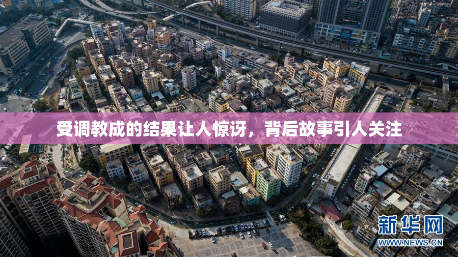受调教成的结果让人惊讶，背后故事引人关注
