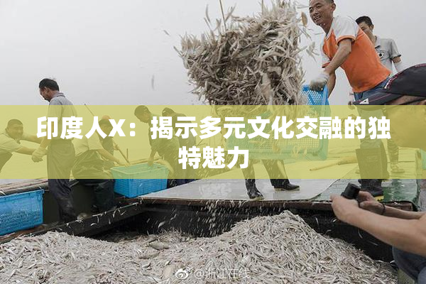 印度人X：揭示多元文化交融的独特魅力