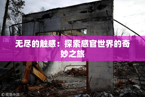 无尽的触感：探索感官世界的奇妙之旅