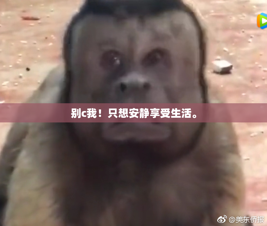 别c我！只想安静享受生活。