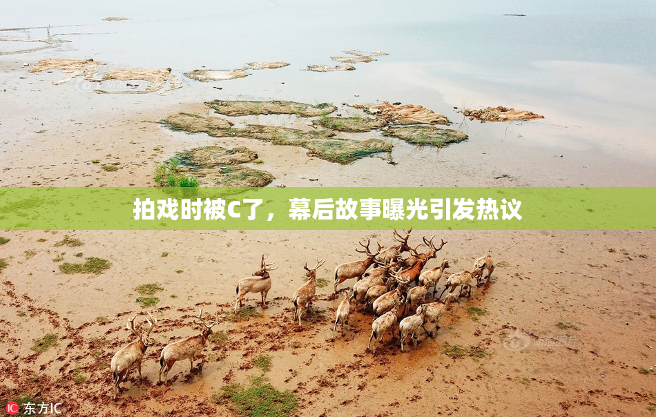 拍戏时被C了，幕后故事曝光引发热议