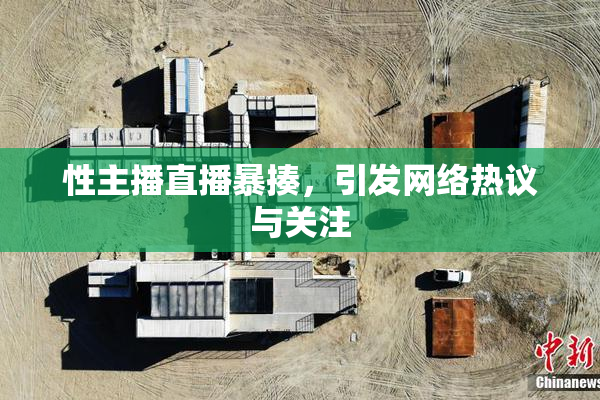 性主播直播暴揍，引发网络热议与关注
