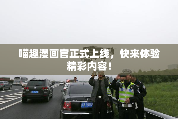 喵趣漫画官正式上线，快来体验精彩内容！