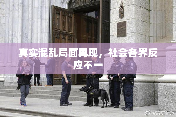 真实混乱局面再现，社会各界反应不一