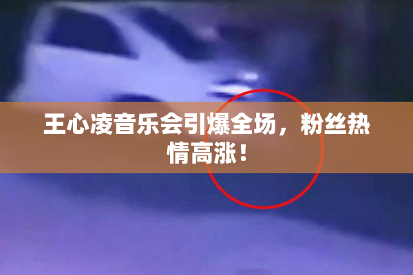 王心凌音乐会引爆全场，粉丝热情高涨！
