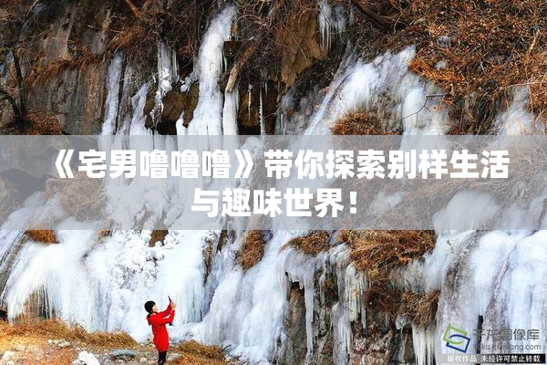 《宅男噜噜噜》带你探索别样生活与趣味世界！