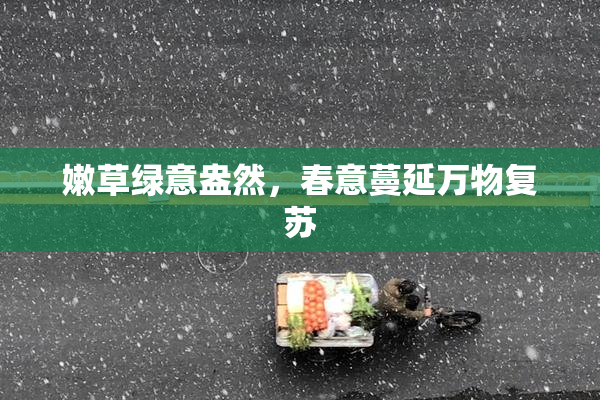 嫩草绿意盎然，春意蔓延万物复苏