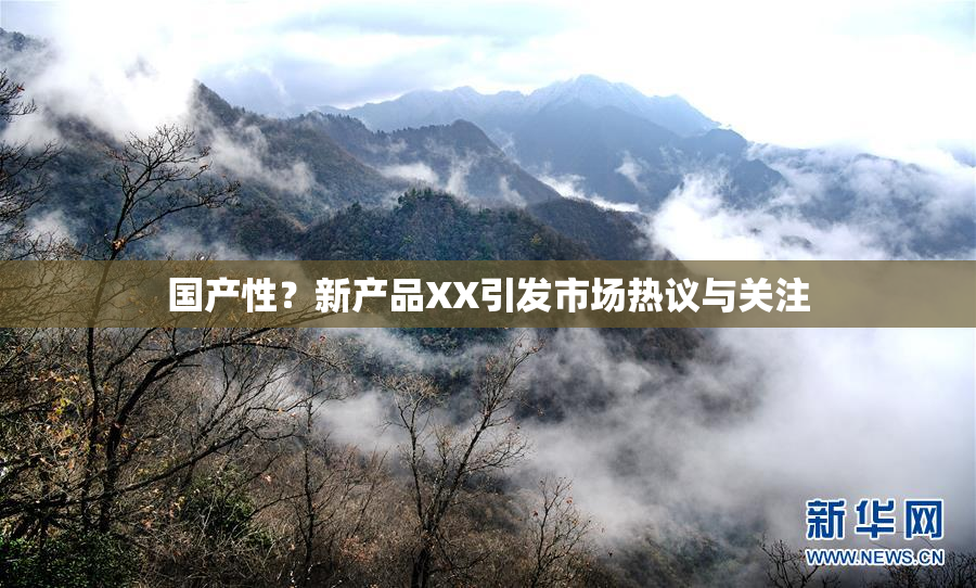 国产性？新产品XX引发市场热议与关注