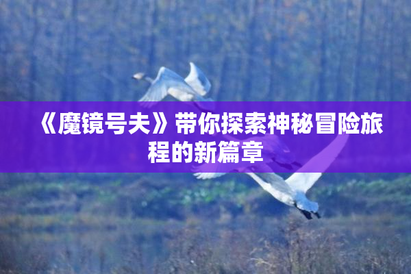《魔镜号夫》带你探索神秘冒险旅程的新篇章