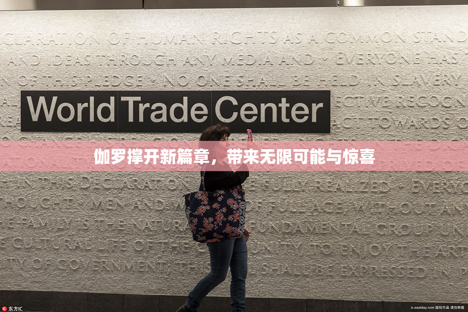 伽罗撑开新篇章，带来无限可能与惊喜