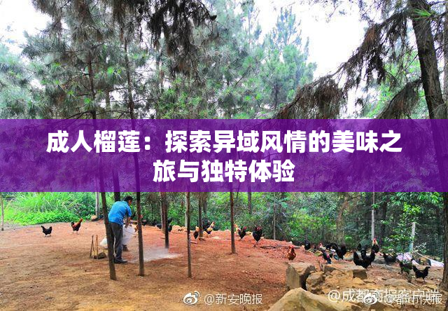 成人榴莲：探索异域风情的美味之旅与独特体验