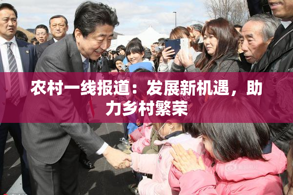 农村一线报道：发展新机遇，助力乡村繁荣