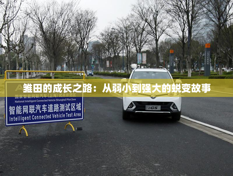 雏田的成长之路：从弱小到强大的蜕变故事