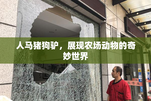人马猪狗驴，展现农场动物的奇妙世界