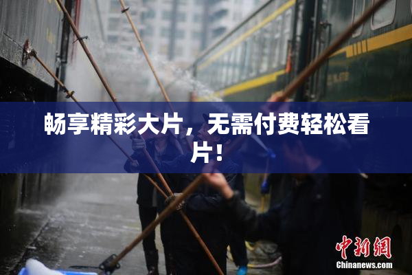 畅享精彩大片，无需付费轻松看片！