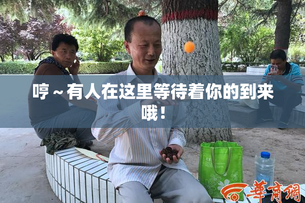 哼～有人在这里等待着你的到来哦！