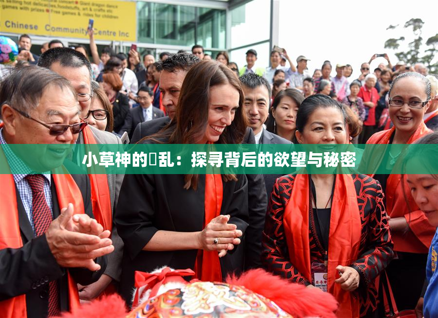 小草神的婬乱：探寻背后的欲望与秘密