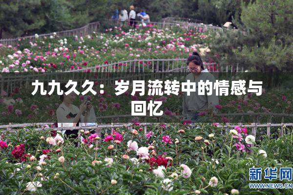 九九久久：岁月流转中的情感与回忆