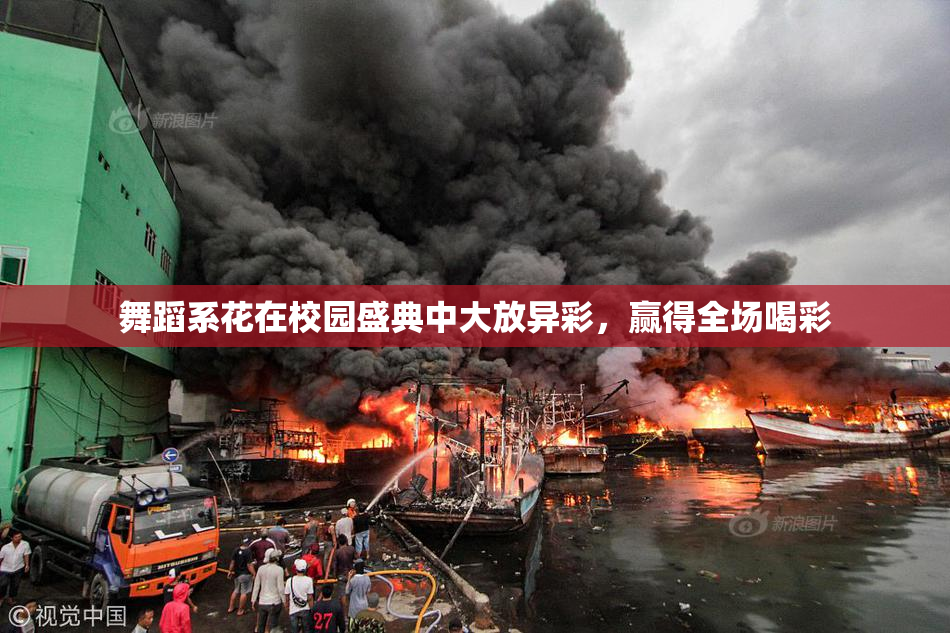舞蹈系花在校园盛典中大放异彩，赢得全场喝彩