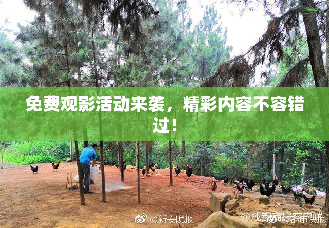 免费观影活动来袭，精彩内容不容错过！