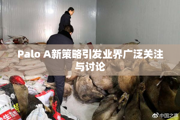 Palo A新策略引发业界广泛关注与讨论