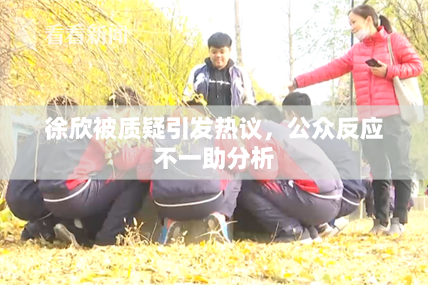 徐欣被质疑引发热议，公众反应不一助分析
