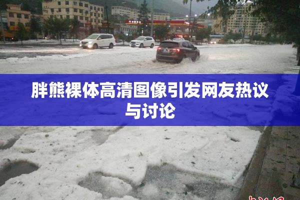 胖熊裸体高清图像引发网友热议与讨论