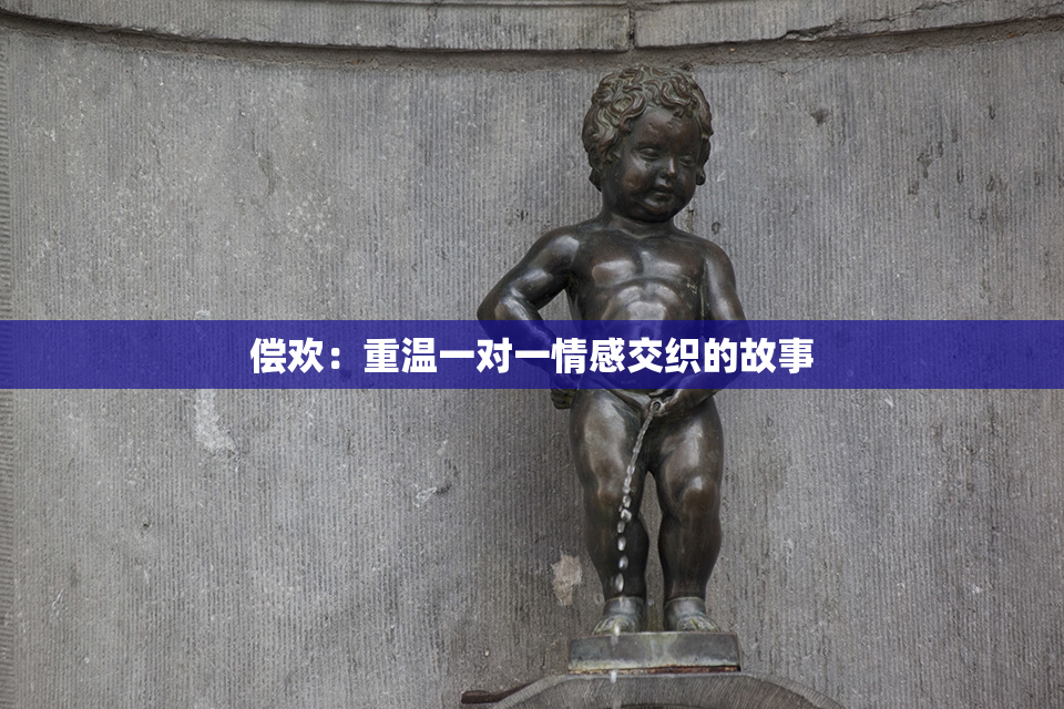 偿欢：重温一对一情感交织的故事