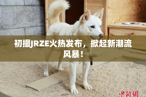 初撮JRZE火热发布，掀起新潮流风暴！