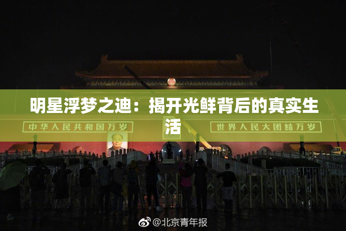 明星浮梦之迪：揭开光鲜背后的真实生活