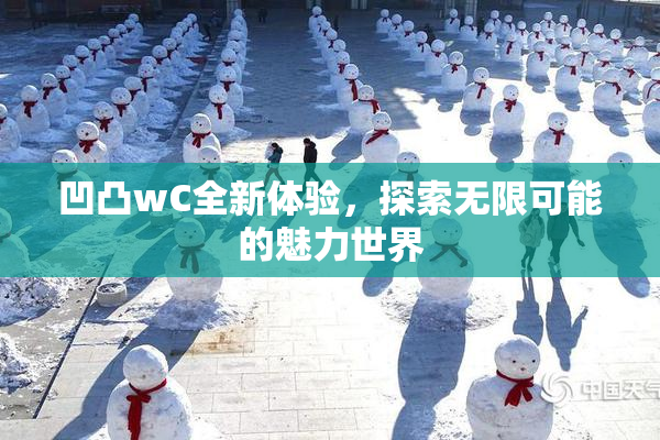 凹凸wC全新体验，探索无限可能的魅力世界