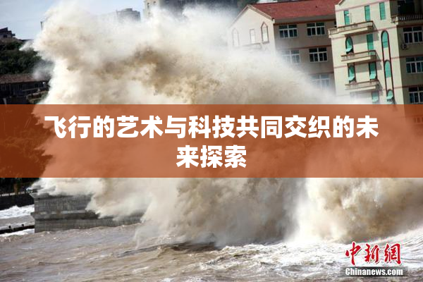飞行的艺术与科技共同交织的未来探索