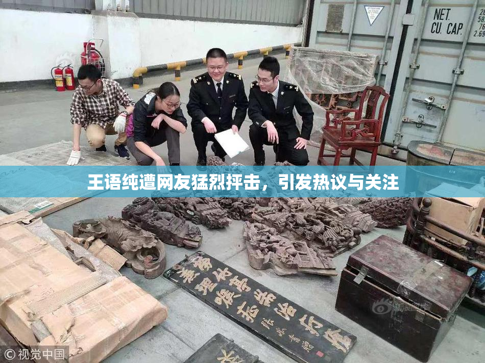 王语纯遭网友猛烈抨击，引发热议与关注