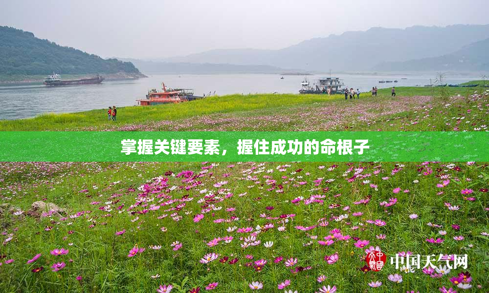 掌握关键要素，握住成功的命根子