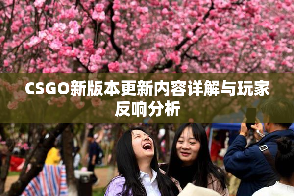 CSGO新版本更新内容详解与玩家反响分析
