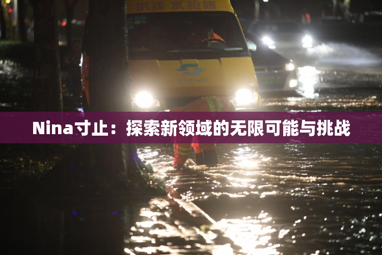 Nina寸止：探索新领域的无限可能与挑战