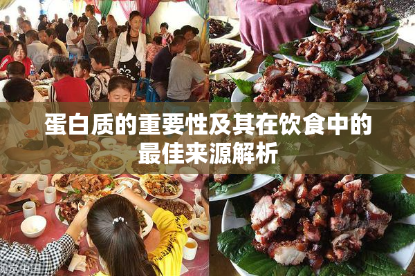 蛋白质的重要性及其在饮食中的最佳来源解析