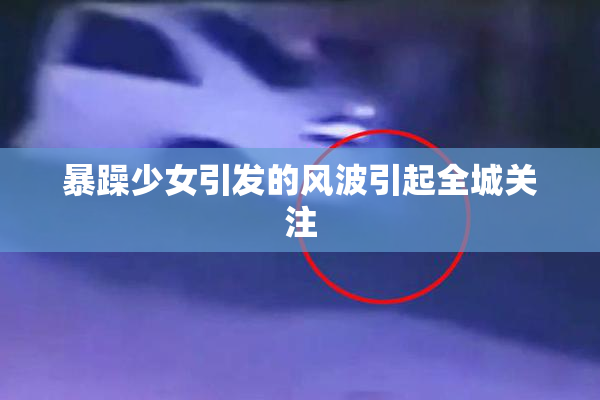 暴躁少女引发的风波引起全城关注