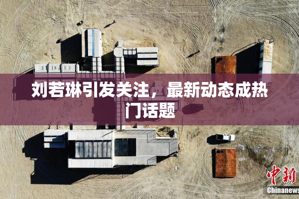 刘若琳引发关注，最新动态成热门话题