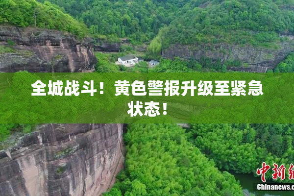 全城战斗！黄色警报升级至紧急状态！