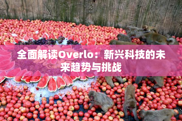 全面解读Overlo：新兴科技的未来趋势与挑战