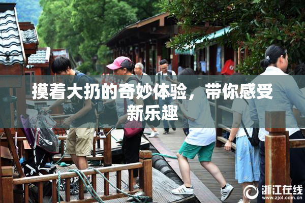 摸着大扔的奇妙体验，带你感受新乐趣