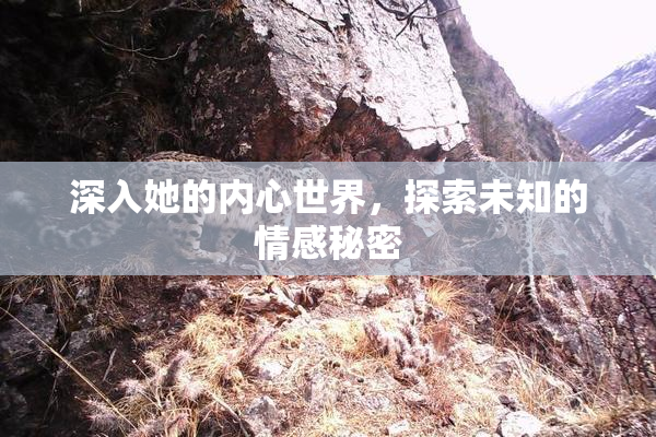 深入她的内心世界，探索未知的情感秘密