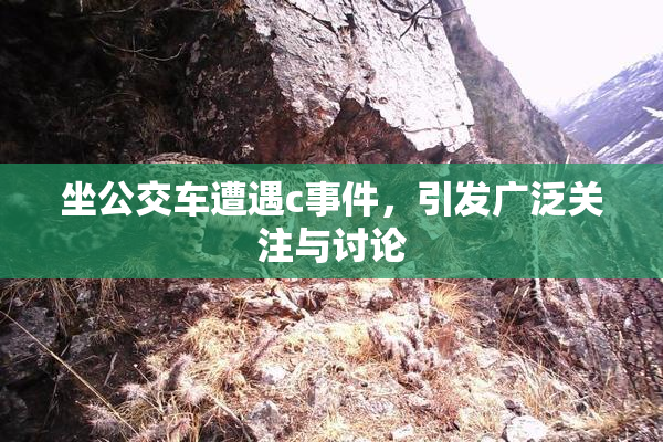 坐公交车遭遇c事件，引发广泛关注与讨论