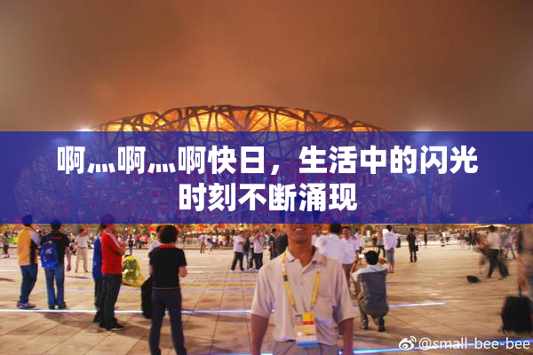 啊灬啊灬啊快日，生活中的闪光时刻不断涌现
