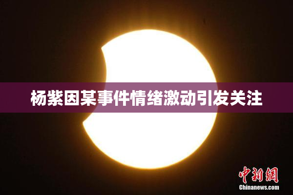 杨紫因某事件情绪激动引发关注