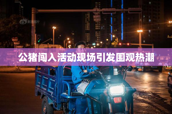 公猪闯入活动现场引发围观热潮
