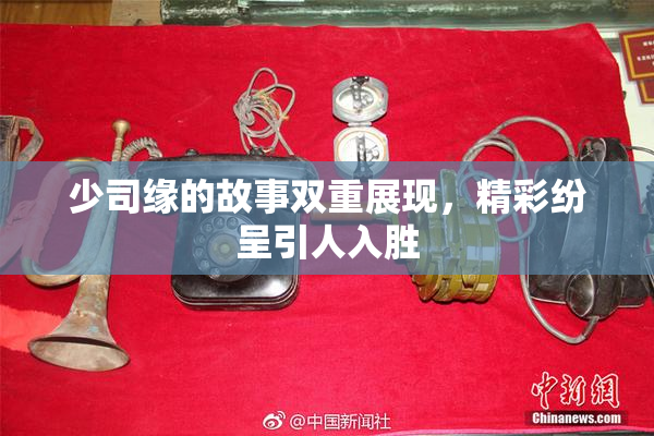 少司缘的故事双重展现，精彩纷呈引人入胜