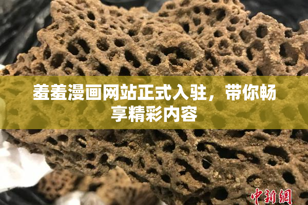 羞羞漫画网站正式入驻，带你畅享精彩内容